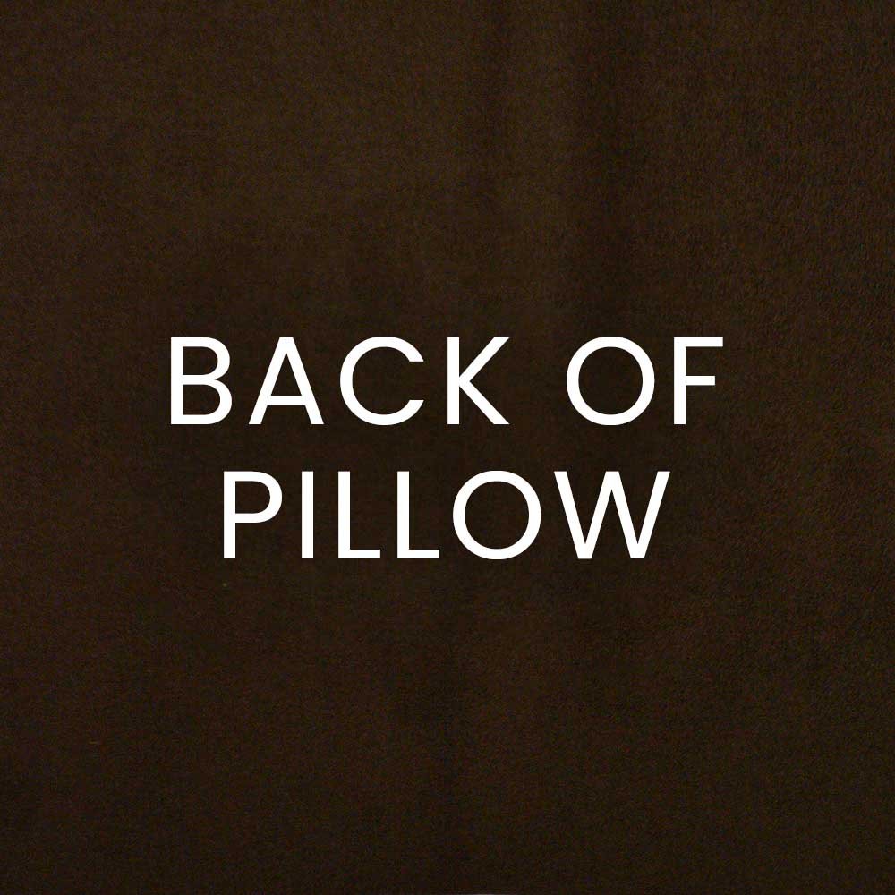 Daisy May Pillow in Aqua - coordinating chocolate suede back by D.V. KAP Home