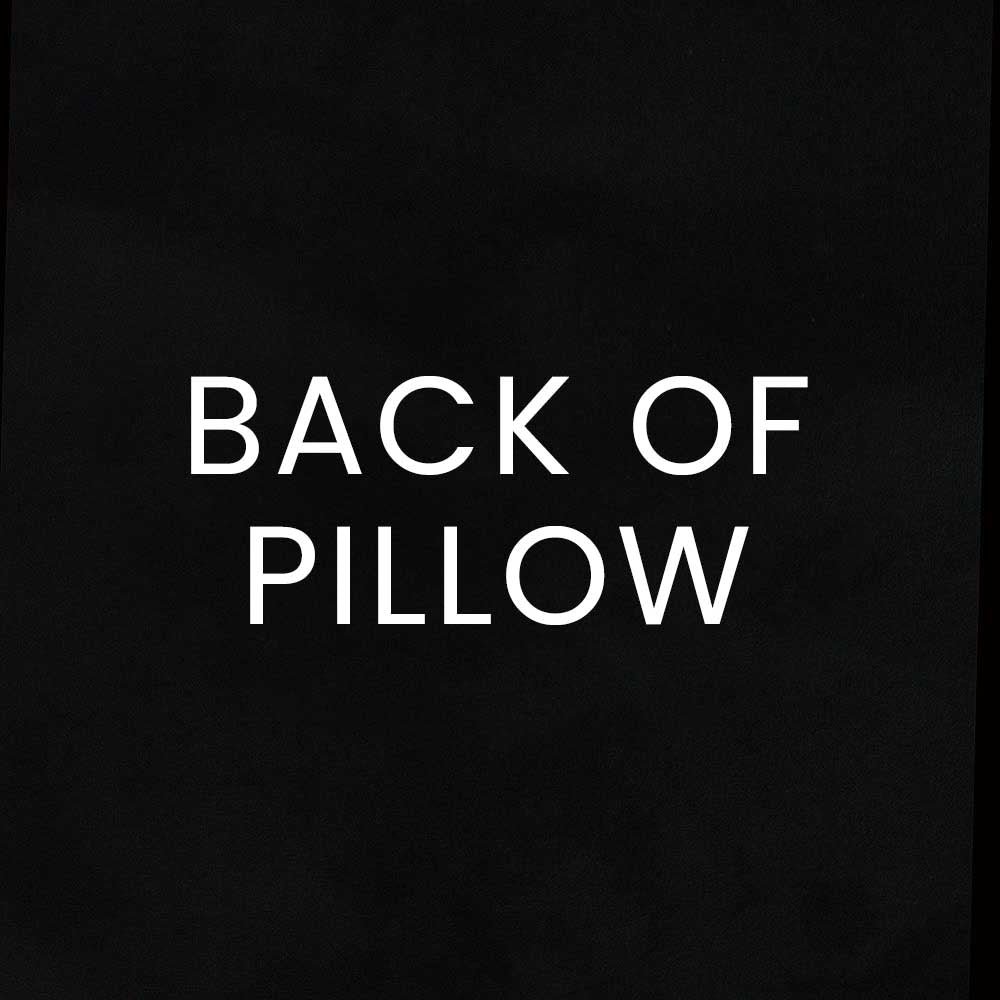 Trixie Pillow in Ebony - coordinating black back by D.V. KAP Home