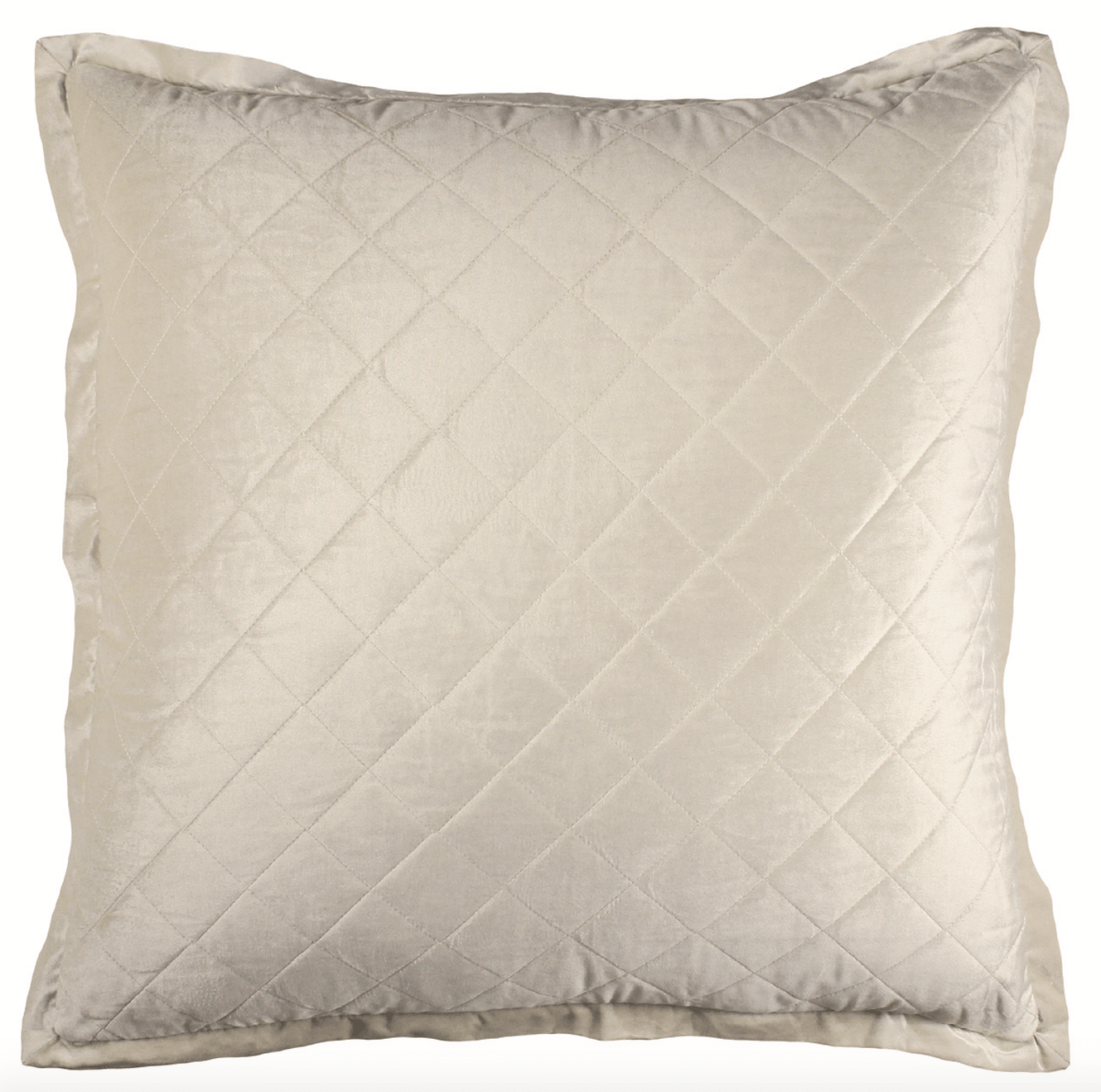 Chloe Ivory Velvet by Lili Alessandra - Euro Pillow