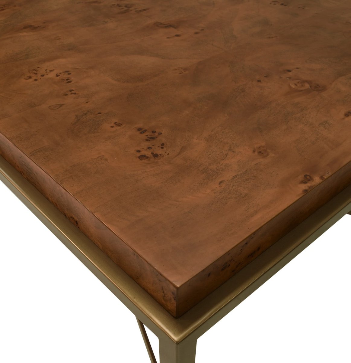 Worlds Away Hardwick Dark Burlwood Coffee Table - Top of Table View at Fig Linens and Home