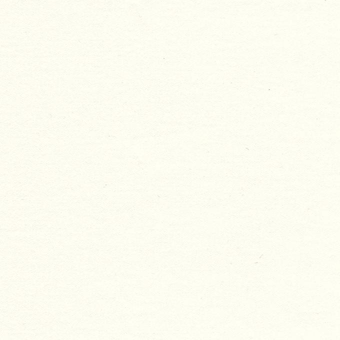 Antique White Addison Quilted Coverlets by Legacy Home - Fig Linens