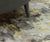 Rug Detail - Meriel Citron Floor Rugs by William Yeoward