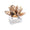 Beachcomber Napkin Rings in Natural by Kim Seybert at Fig Linens and Home 1 