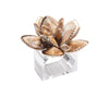 Beachcomber Napkin Rings in Natural by Kim Seybert at Fig Linens and Home 1 