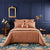 Triomphe Sienna Cotton Bedding by Yves Delorme at Fig Linens and Home