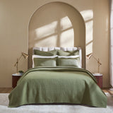 Portico Cotton Quilted Coverlet by Orchids Lux Home - Olive Queen Quilt at Fig Linens and Home