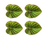 Tropicana Coasters in Green, Set of 4 in a Gift Box by Kim Seybert at Fig Linens and Home