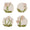 Kim Seybert Orchid Coasters in Multi, Set of 4 in a Gift Bag by Kim Seybert - Multi 5.5"L x 5.5"W x 0.25"H at FIG LINENS AND HOME - 1