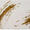 Front Fortuny 27x47 Gold 800 Bath Rug by Abyss at Fig Linens and Home