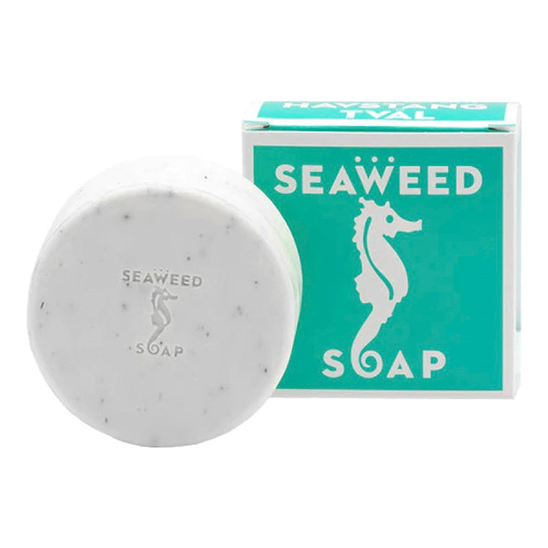 Swedish Dream Seaweed Bar Soap - Fig Linens and Home - Kalastyle