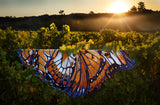 Abyss Habidecor Mariposa Bath Rug | Luxury Butterfly Rug in Tangerine 614 at Fig Linens and Home - 6