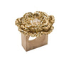 Pareo Natural/Gold Napkin Ring | Kim Seybert at Fig Linens and Home