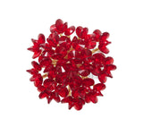Aster Napkin Ring in Red, Set of 4 Kim Seybert - top view at Fig Linens and Home