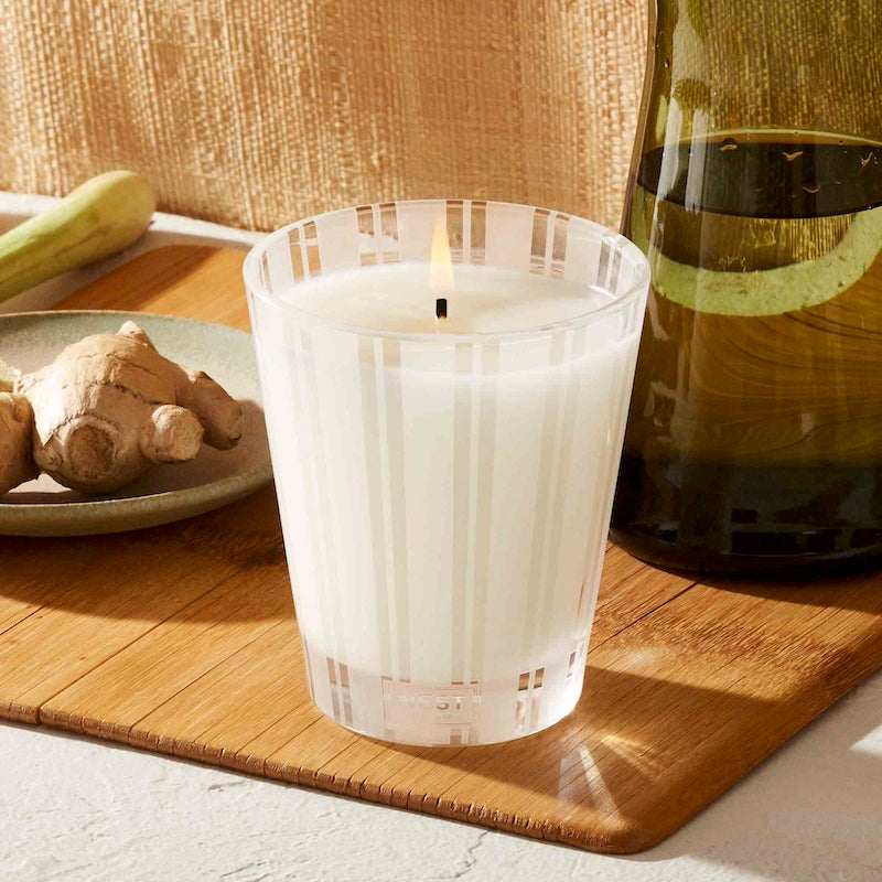 Lemongrass & Ginger Classic Candle by Nest - Fig Linens and Home