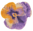 Pansy Bath Rug 35X39 Curcuma 870 by Abyss Habidecor at Fig Linens and Home - View 10