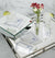 Fig Linens - Segni Cocktail Napkins by Sferra - Lifestyle