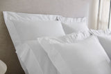 Sf Giza 45 Corto P White Continental Sham 26X26 | Sferra at Fig Linens and Home