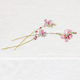 Gaura Towels by Yves Delorme