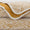 Vasco Wash Cloth 12X12 Gold 840 by Abyss
