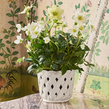 Aria Small Cream White Cachepot by AERIN at Fig Linens and Home