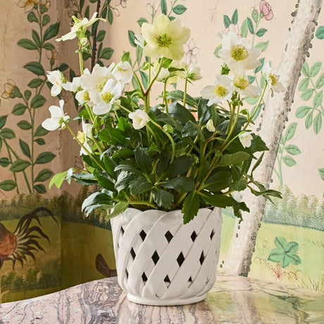 Aria Small Cream White Cachepot by AERIN at Fig Linens and Home