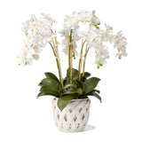 Aria Small Cachepot by AERIN shown with Orchids | Fig Linens and Home