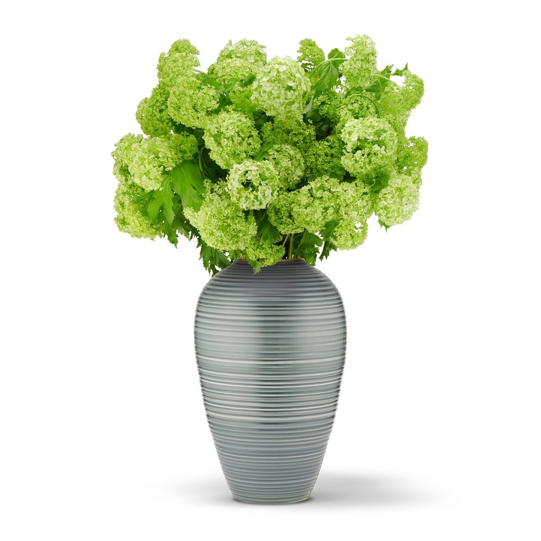 Calinda Tapered Vase in Shadow by AERIN at Fig Linens and Home - View 3