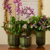 Delmara Large Vase in Cedar by AERIN - Lifestyle Photo with Large Vase shown on Far Right