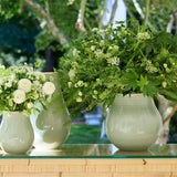 Romina Large Vase in Sage by AERIN - Lifestyle with Group of Vases and Flowers