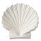 Shell Platter in Large by AERIN - Cream Ceramic Platter at Fig Linens and Home 1