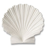 Shell Platter in Large by AERIN - Cream Ceramic Platter at Fig Linens and Home 1