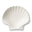 Shell Platter in Medium AERIN at Fig Linens and Home