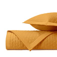 ANASTASIA Quilted Coverlet in Marigold by Home Treasures at Fig Linens and Home