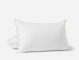 Organic Down Pillow Insert by Coyuchi Queen Pillow Insert - 20” x 30” (1 Pillow) White at FIG LINENS AND HOME 2