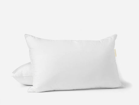 Organic Down Pillow Insert by Coyuchi Queen Pillow Insert - 20” x 30” (1 Pillow) White at FIG LINENS AND HOME 2