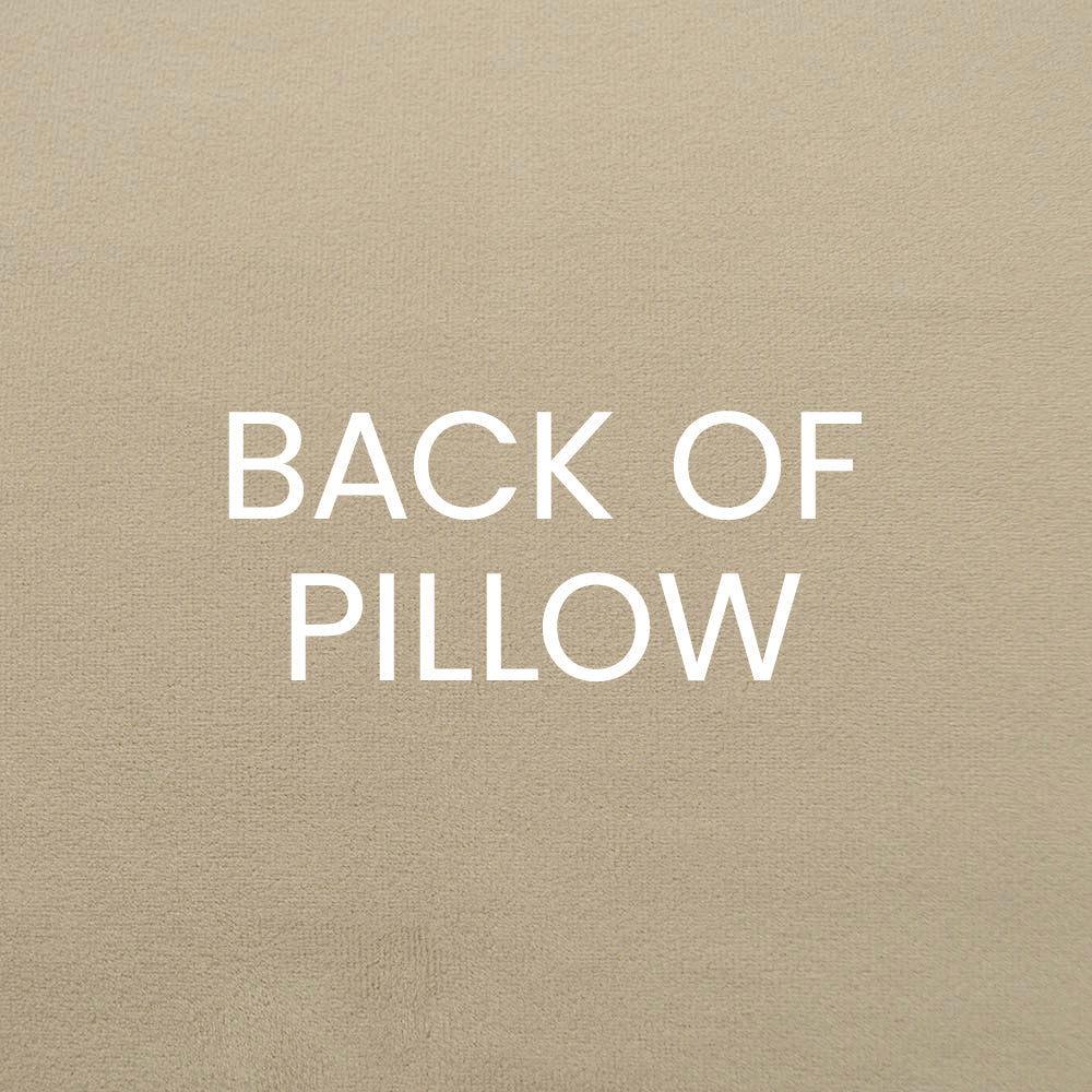 Fanfare Pillow in Navy - solid tan back by D.V. KAP Home