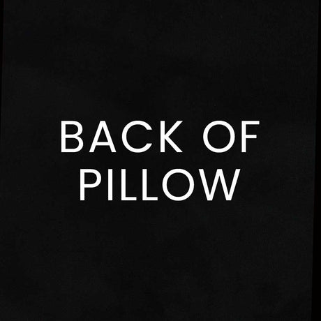 Trixie Pillow in Ebony - coordinating black back by D.V. KAP Home