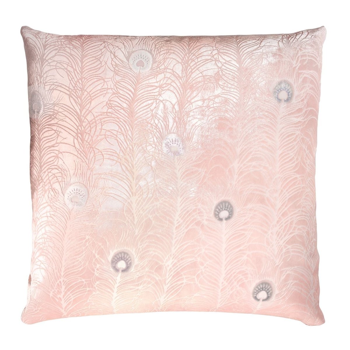Blush Peacock Feather Decorative Pillow by Kevin O'Brien Studio