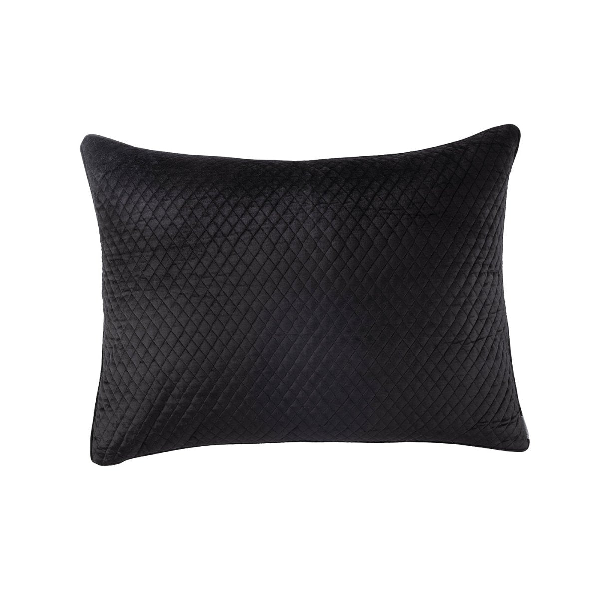Valentina Black Luxe Euro Pillow by Lili Alessandra | Fig Linens