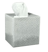 Fig Linens - Mike and Ally Pacific Fine Silver Enamel Boutique Tissue