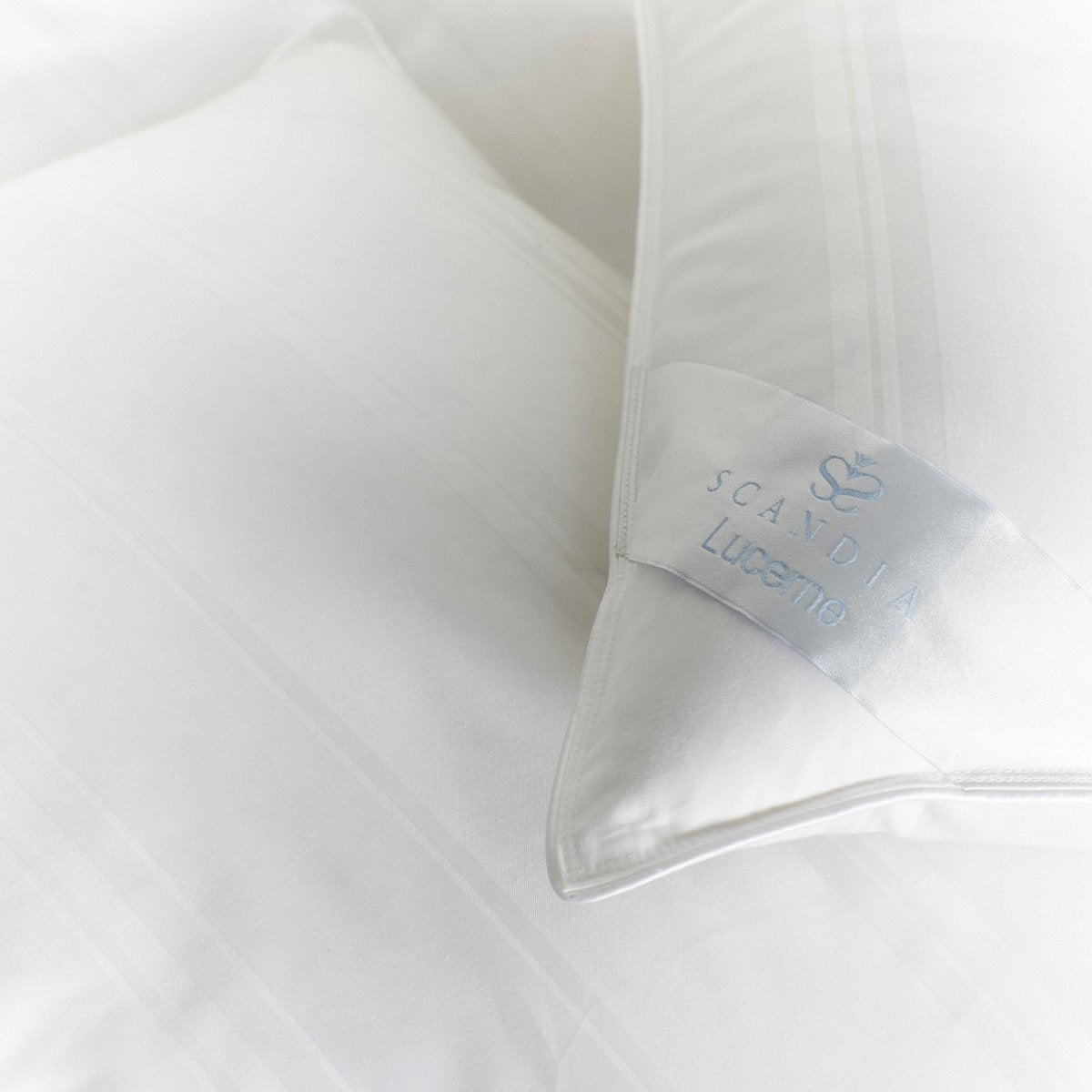 Scandia Home Down & DownFree Sleep Pillows FIG LINENS AND HOME