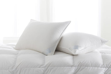 Scandia Home - Copenhagen Down Sleep Pillows at Fig Linens and Home