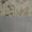 Valentene Bedding by Home Treasures - Large Floral Swatch shown with Small check