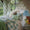 Vani Leaf Duvet Set | John Robshaw Bedding at Fig Linens and Home 3