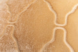 Arches Velvet Burnout Pillow Gold Beige Kevin O'Brien 14x20 Gold Beige at FIG LINENS AND HOME 3