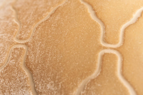 Arches Velvet Burnout Pillow Gold Beige Kevin O'Brien 14x20 Gold Beige at FIG LINENS AND HOME 3