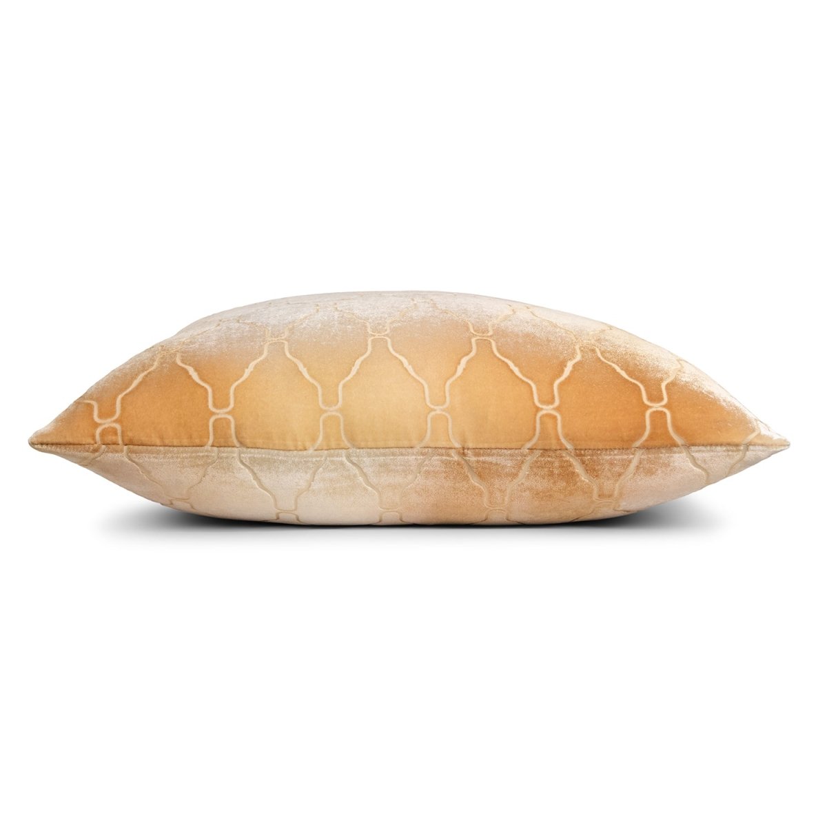 Arches Velvet Burnout Pillow Gold Beige Kevin O'Brien 14x20 Gold Beige at FIG LINENS AND HOME 4
