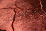 Arches Velvet Burnout Pillow Paprika Kevin O'Brien 14x20 Paprika at FIG LINENS AND HOME 3