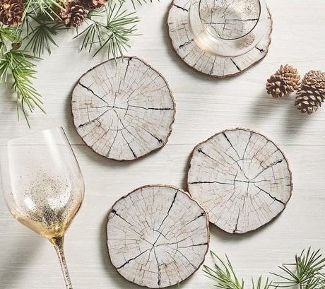 Birch Coasters in Ivory & Natural Set of 4 in a Gift Box by Kim Seybert - Lifestyle Winter View