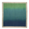 Dip Dye Napkin in Navy & Green Set of 4 by Kim Seybert Navy/Green 21"L x 21"W x 0.1"H Napkin - Set of 4 at FIG LINENS AND HOME 2